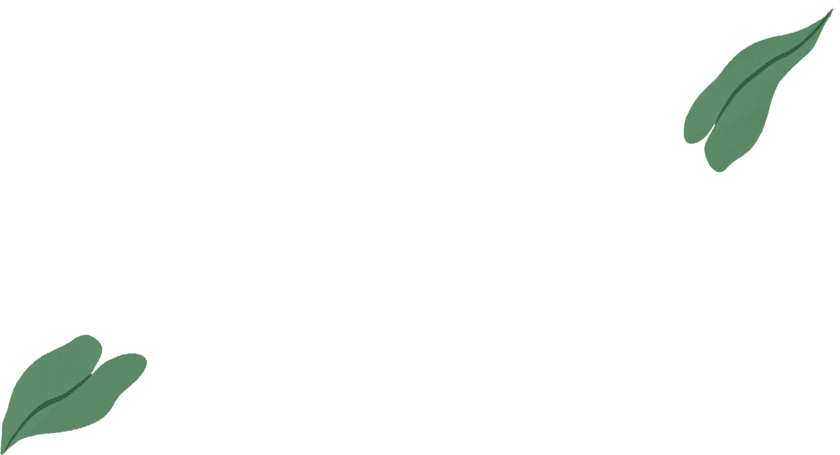 الصورة نفسها مصحوبة برسم توضيحي لهيكل MacBook Air وتتدفق من شاشته أوراق شجر خضراء.