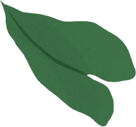 الصورة نفسها مصحوبة برسم توضيحي لهيكل MacBook Air وتتدفق من شاشته أوراق شجر خضراء.