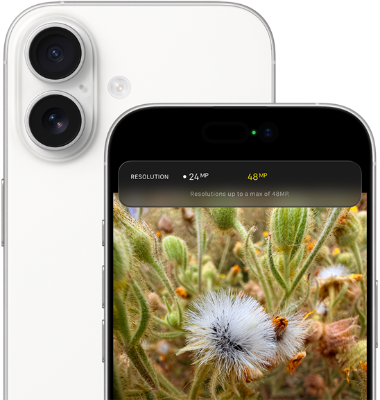 iPhone 17, rear exterior, rounded corners, Dual Fusion Camera System in top left corner, white colour, front exterior, Dynamic Island, rounded corners