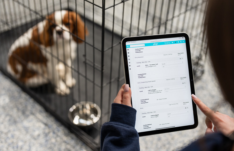 L’iPad consente al personale di aggiornare in tempo reale informazioni come l’assunzione di cibo e farmaci utilizzando Gingr, un’app business per il settore della cura degli animali domestici.