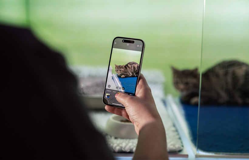 Il personale infermieristico usa iPhone per inviare regolarmente foto degli animali, offrendo un livello di rassicurazione in più.